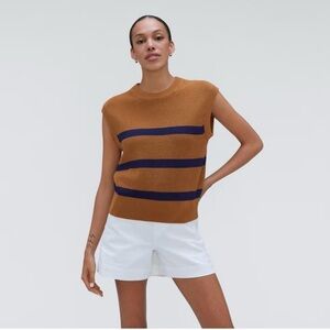 Everlane Brown and Navy Striped Sweater Vest